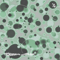 Autoscopy 012