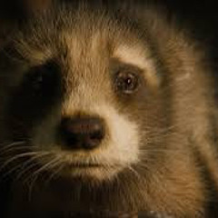 guardians of the galaxy 3 -rocket : they wanna kill us all in the morning but im gonna fix it