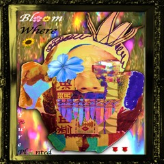 Bloom Where You're Planted [Instrumental]