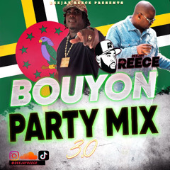 THE BOUYON PARTY MIX 3.0 (NASTY BUSINESS 2025)