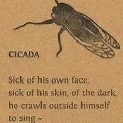 Lies p. (everydaysinner)