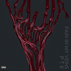 PTK - Pain In My Veins