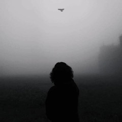 تقرير الوحشة - محمد عبدالباري