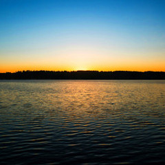 Ambient Stillness
