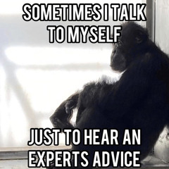 Therapy , the musical