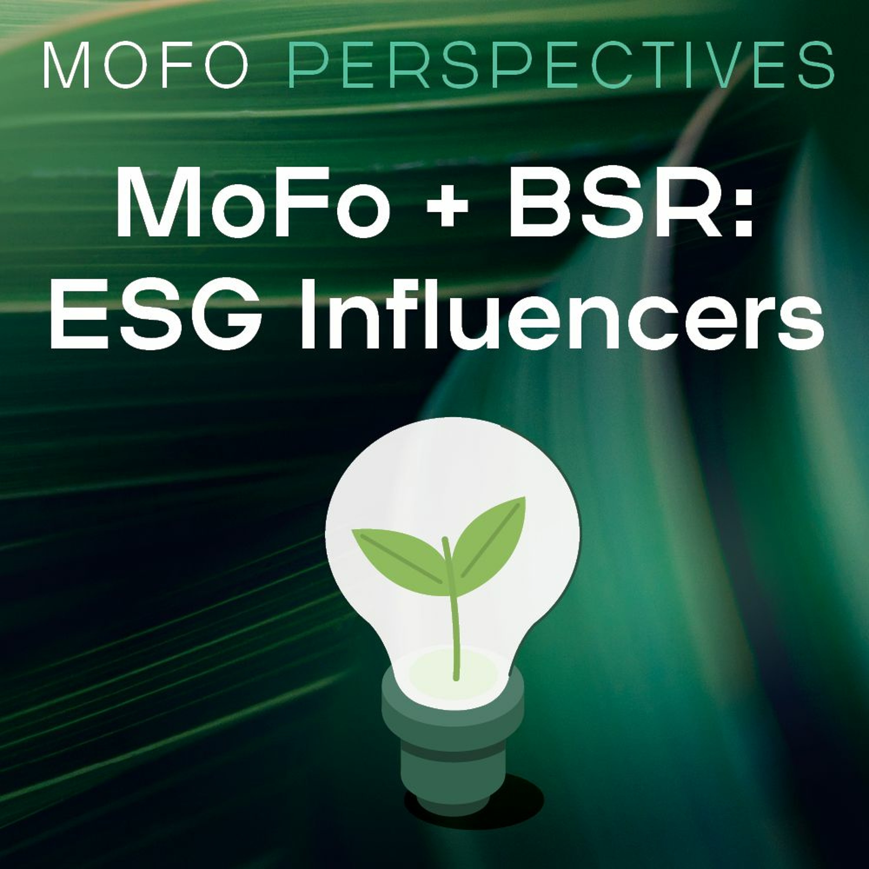 Episode 19 – ESG Insights from 2024 and What’s Next for 2025: