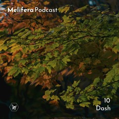 Melifera Podcast 10 | Dash