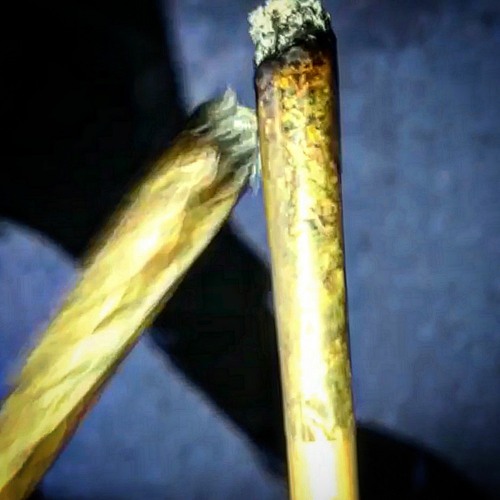 Stoner Anthem (Feat. FitzyThaDon)