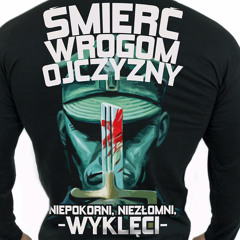 PewnaPozycja 13.wma