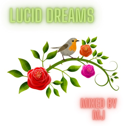 LUCID DREAMS - Mixed by MJ - MAY 2024