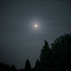 Socializing is one Hell of Drug