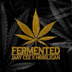 Fermented (Jaay Cee x H666LIGAN)