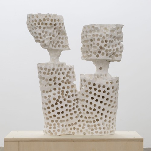 Springvossen 566 Adam Colton