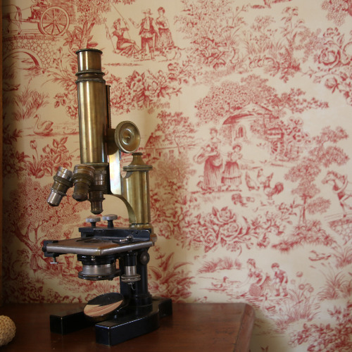 Banned Rehearsal 516 981212