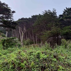 Between Nowhere - DEMO