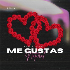 RVH & Vinny - Me Gustas Natural (Remix)