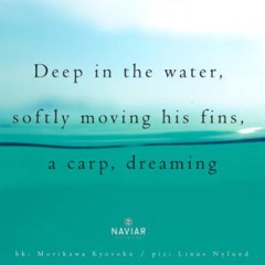 naviarhaiku364: deep in the water