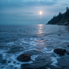 Whispers of the Tide