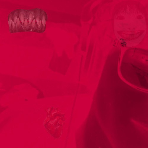 feeder