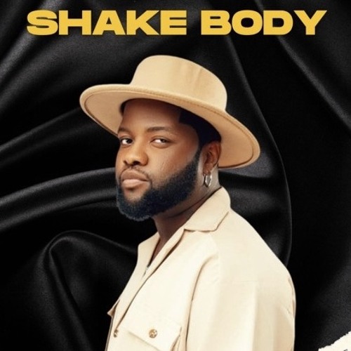 Stream $HAKE BODY REMIX 2026 by ZK JAH | Listen online for free on ...