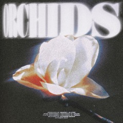 Makzo & s.lyre - Orchids
