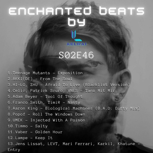 Enchanted Beats S02E46 (Techno Mix)