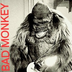 BAD Monkey