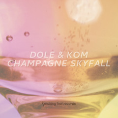 Champagne Skyfall (Radio-Edit)