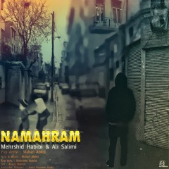 Mehrshid Habibi & Ali Salimi - Namahram (feat. Mahan Abedi ) | OFFICIAL TRACK مهرشید حبیبی - نامحرم