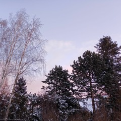 wesołe ślimaki - później