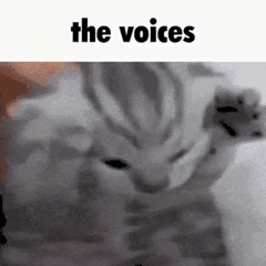 ALL OF FLOW (all of my songs in a pile of shit)