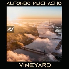 Alfonso Muchacho - Vineyard