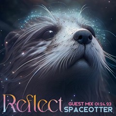 Guest Mix: Spaceotter