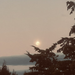 My baby just cares for me (cover)