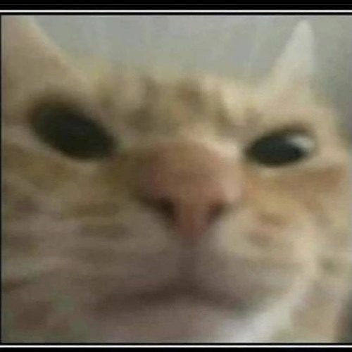 im calling an exorcist for you jack