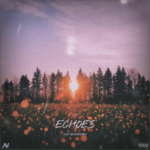 ECHOES
