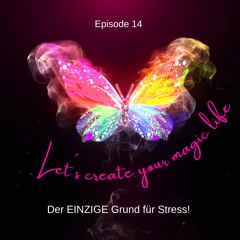Der EINZIGE Grund für Stress!