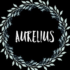 Aurelius House Chronicles: Part 3