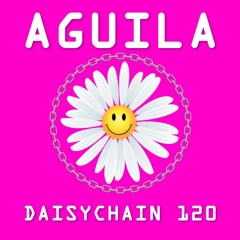 Daisychain 120 - Aguila