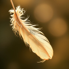 Feather