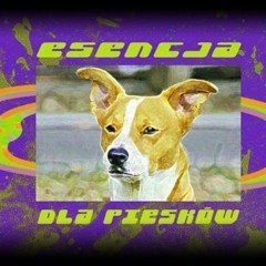 2aspects @ Esencja dla Piesków Akademia Wrocław (19.09.20)