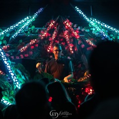 Melodic Vibes Session #7