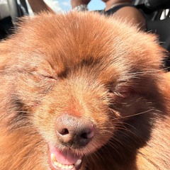 POPYOSHTprodoshu.m4a