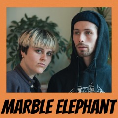 Marble Elephant - Tracks