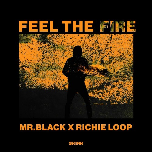 MR.BLACK X Richie Loop - Feel The Fire (Housemad Remix)