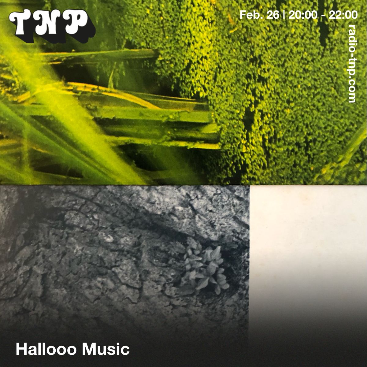 Hallooo Music
