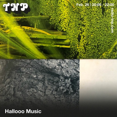 Hallooo Music @ Radio TNP 26.02.2022