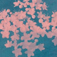 V.et – 물망초 (Forget-Me-Not)