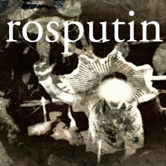 TGIF boiLR Room #2 - rosputin