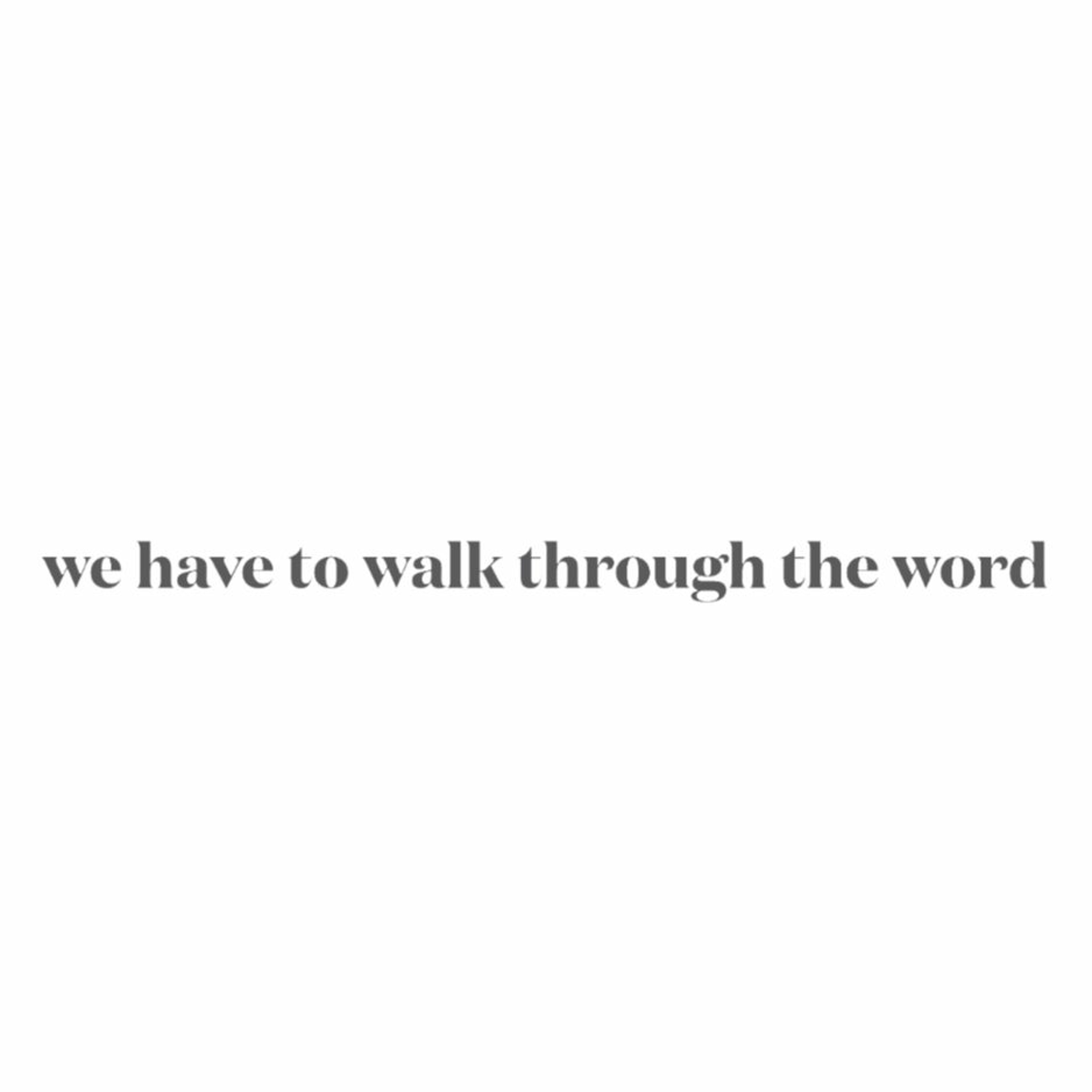 Vision Eternity Ministries - WE HAVE TO WALK THROUGH THE WORD episode artwork